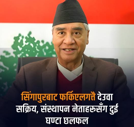 कांग्रेस अब दाइले भाउजुलाई जिम्मा लाउँदै हो ?