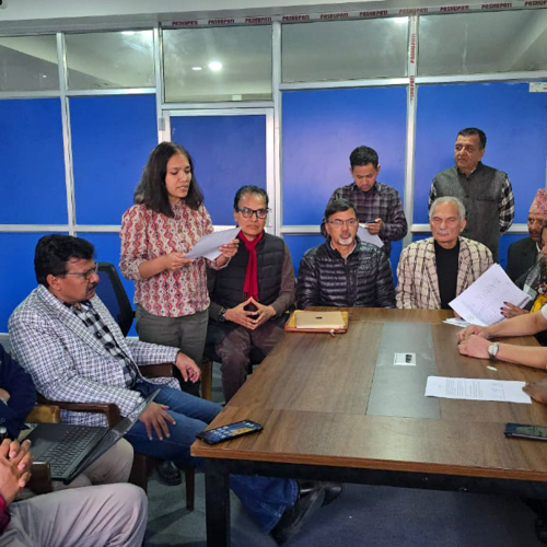 प्रगतिशील लोकतान्त्रिक पार्टी ले पदाधिकारीको संख्या टुंगो लगाएको छ ।