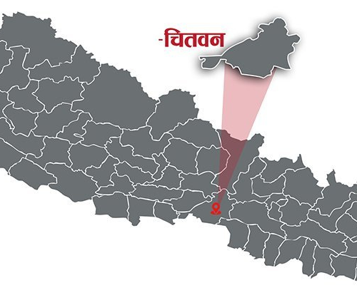 किशोरीको मृत्यु छतबाट खसेर