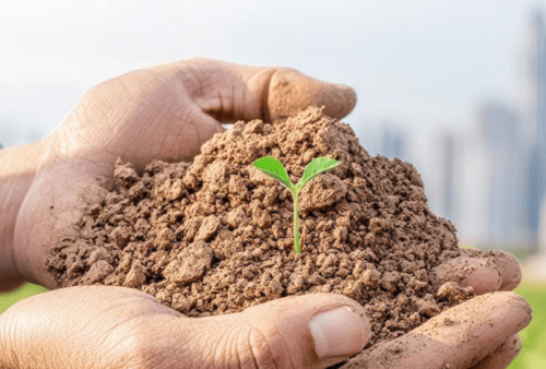 अन्तर्राष्ट्रिय स्वयंसेवक दिवस आज, विश्व माटो दिवस पनि आजै