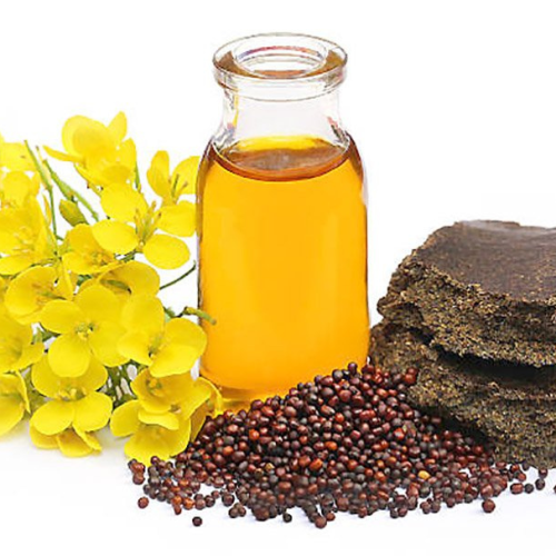 कसरी चिन्ने, के तपाईँ नक्कली तोरीको तेलमा खाना पकाउँदै त हुनुहुन्न ?