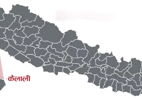 प्रशोधन केन्द्र जडीबुटीमा किसानलाई आकर्षित गर्दै