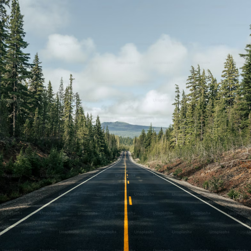 आठ वर्षदेखि अलपत्र एक हजार ८०० मिटर सडक