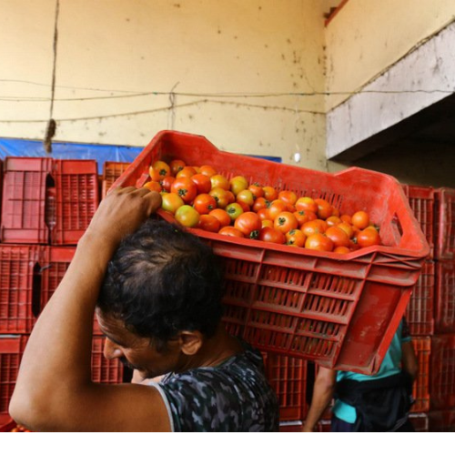 एक सातामा ३२ प्रतिशतसम्म घट्यो गोलभेँडाको मूल्य