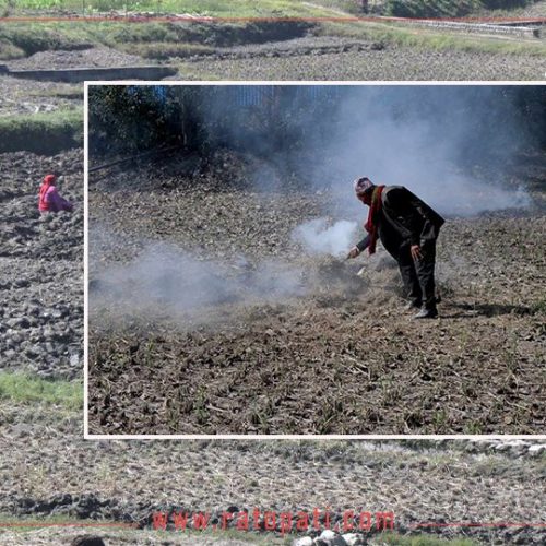 ५४ प्रतिशतमा अम्लीय प्रकृति, नेपालमा माटोको गुणस्तर खस्कियो