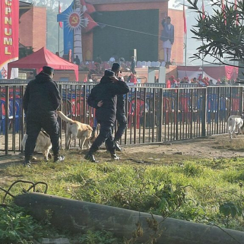  विशेष तालिमप्राप्त कुकुरसहित प्रहरी परिचालन र एमाले महाधिवेशन उद्घाटनस्थलमा बम डिटेक्टर उपकरण