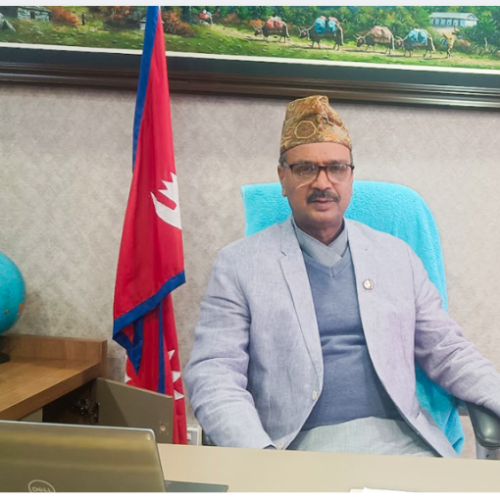 सिन्डिकेट अन्त्य गर्छु, वैदेशिक रोजगारीमा देखिएका