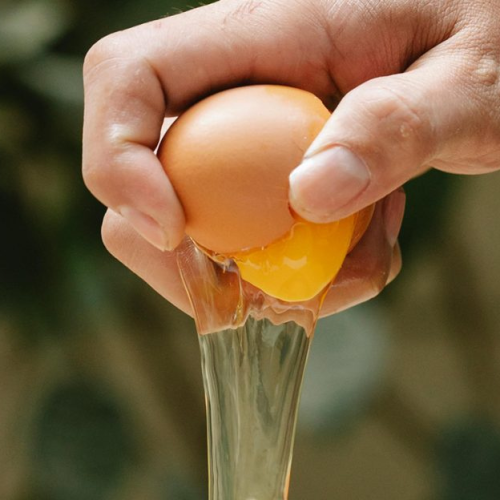 अन्डाको मूल्यमा बिचौलियाको लुट, फार्ममा सस्तो, पसलमा महँगो