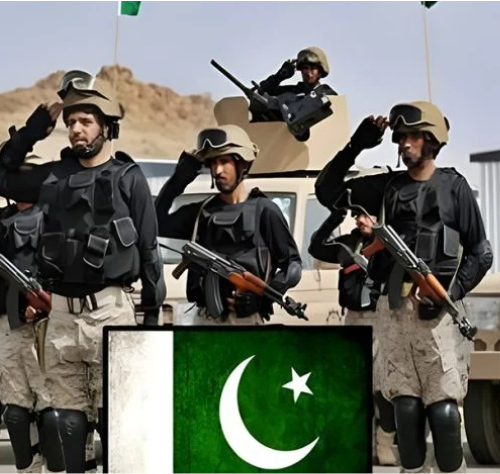 साउदी अरबमा के गर्दैछ, पाकिस्तानी सेना