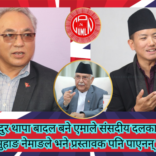 रामबहादुर थापा बादल बने एमाले संसदीय दलका नेता,सुहाङ नेमाङले भने प्रस्तावक पनि पाएनन्