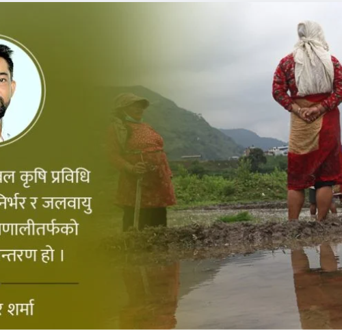 प्राकृतिक खेती दिगो समाधान : युद्धले कृषिमा नोक्सान 