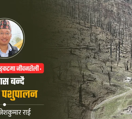 हराउँदै गएको हिमाली पशुपालन, उपेक्षित खर्क