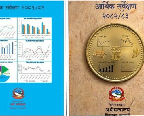 निलो होइन सुनौलो, आर्थिक सर्वेक्षणको रङ फेरे वाग्लेले