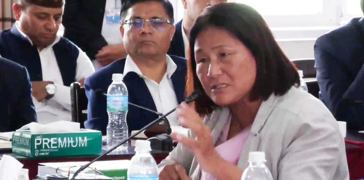 ईन्दिरा रानामगर-एनजीओलाई दोष दिनुअघि सरकारले जिम्मेवारी लिनुपर्छ 
