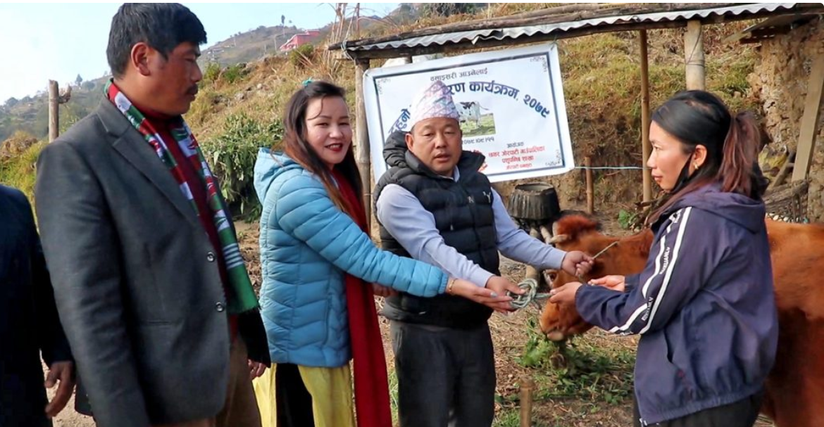 पहिले लैनो गाई, अब सुरक्षित आवास – बसाइँसराइ रोक्ने छथर जोरपाटीको नयाँ सूत्र